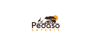 Pedaso Safaris