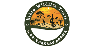Ethio Wildlife Tours