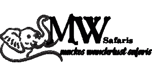 Mackos Wanderlust Safaris