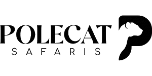 African Polecat Safaris Logo
