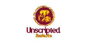 Unscripted Safaris