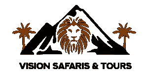 Vision Safari & Tours