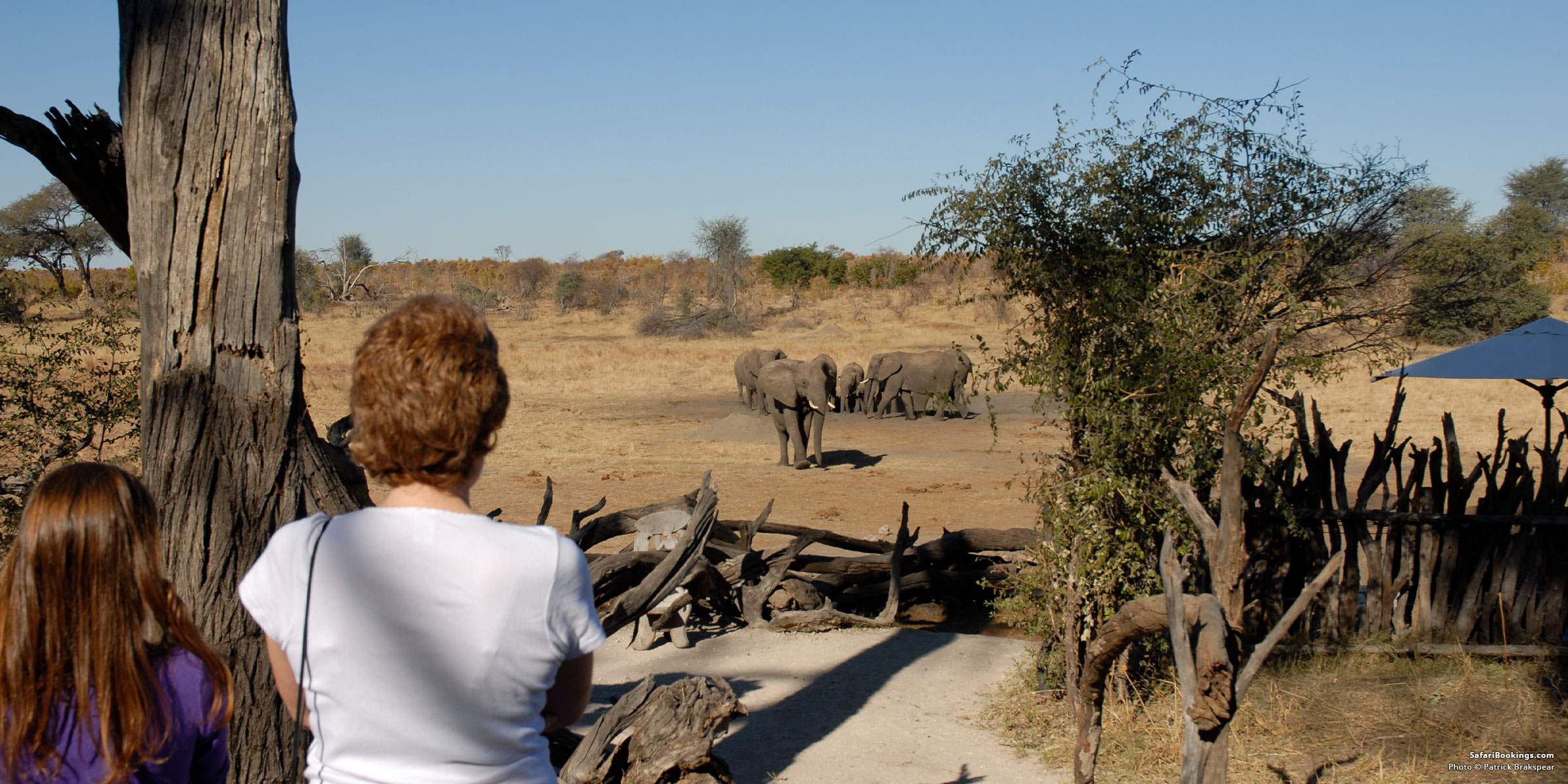 10 Considerations for Families Going on Safari