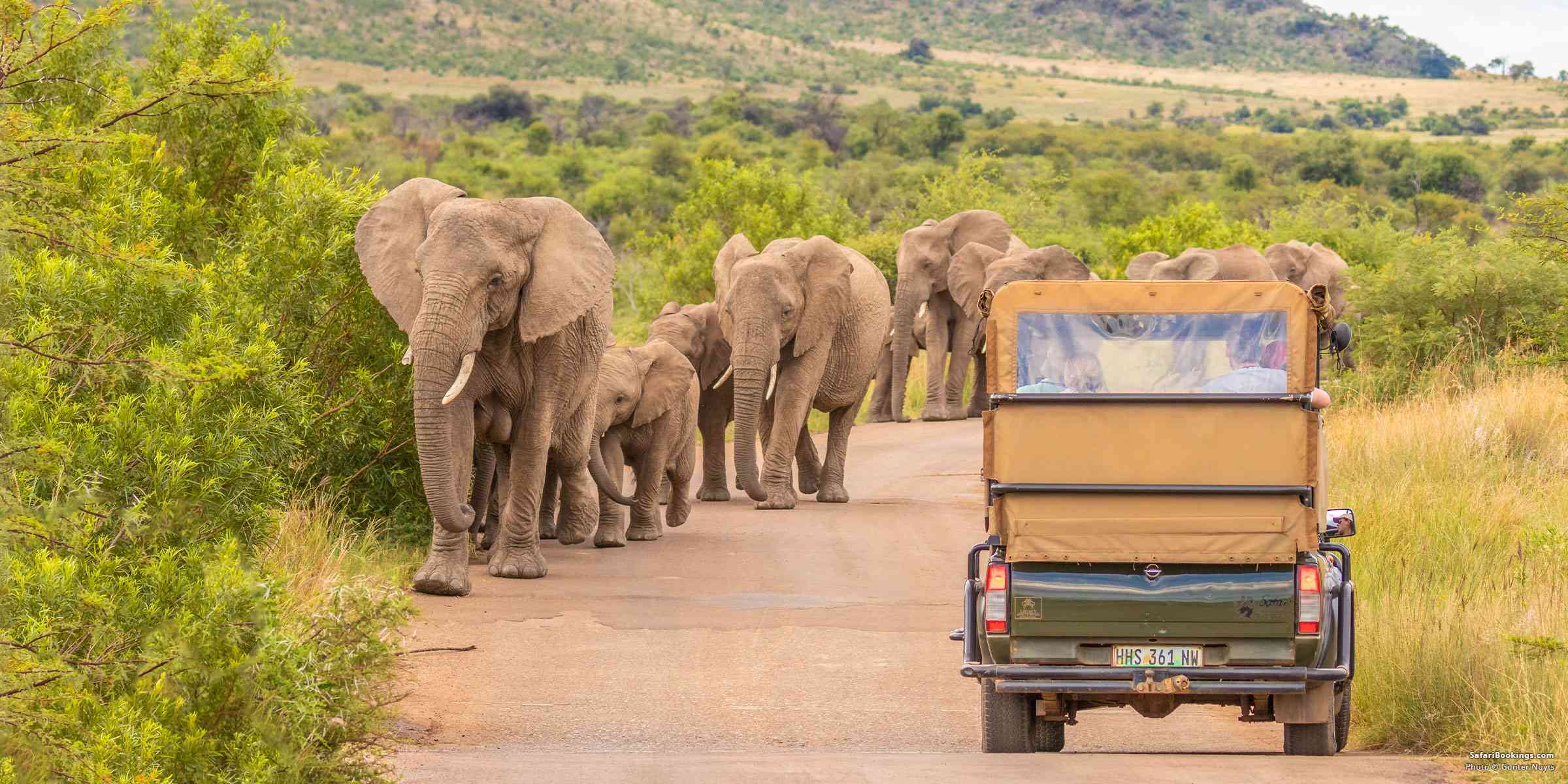 5 Best Family-friendly Safaris in South Africa
