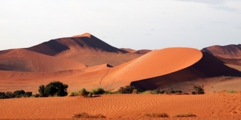12-Day Classic Namibia Safari