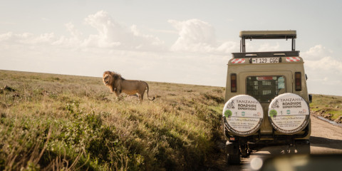 3-Day Luxury Safari from Zanzibar to the Wildlife Parks