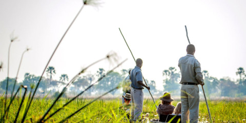 3-Day Okavango Low-Key Fly-in Safari at Oddballs