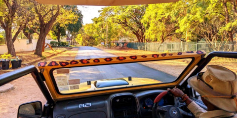 ½-Day 4x4 Safari in Vic Falls Town and Wine Tasting