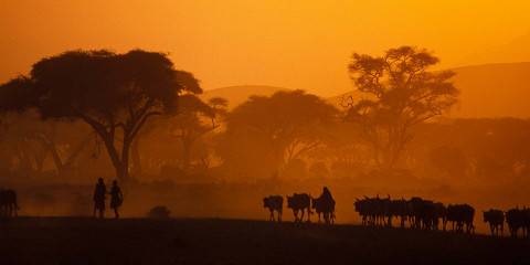 12-Day Kenya Safari and Beach Experience