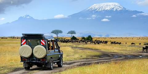 4-Day Masai Mara Wildlife Budget Private Safari