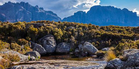 Best of Wildlife of Madagascar