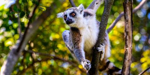 16-Day Nature, Culture and Coast