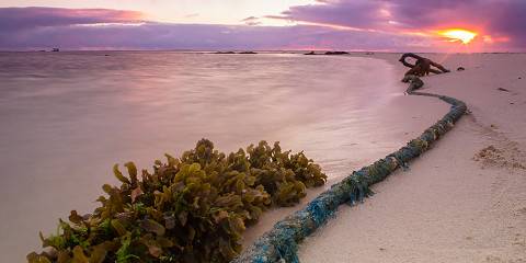 14-Day Off the Beaten Path Honeymoon in Mauritius