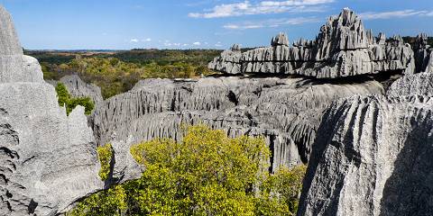 14-Day Discover the Unique in Madagascar