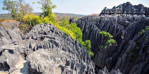 11-Day West Madagascar Baobabs - Wildlife - and Landscape