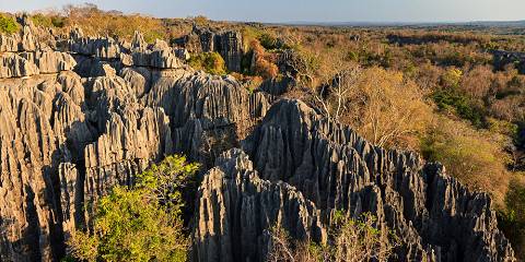 16-Day Highlight of Madagascar