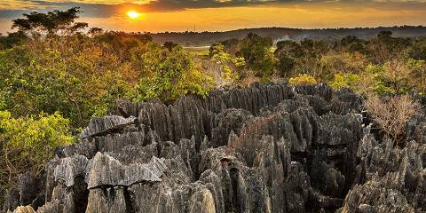 12-Day Classic Madagascar Tour