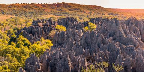 8-Day Limestone Forest & Baobabs Kingdom