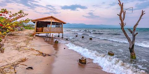 4-Day Chimpanzee Tracking, Karera Falls and City Tour