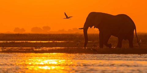 3-Day Victoria Falls & Chobe Safari Adventure