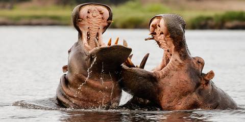 9-Day Victoria Falls , Chobe, Salt Pans and Okavango