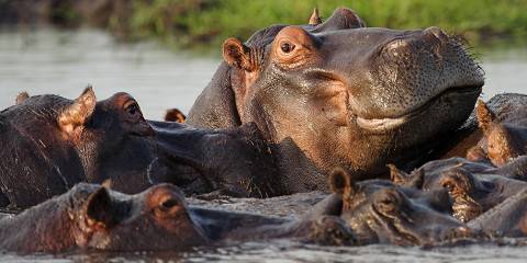 12-Day Namibia, Chobe & Victoria Falls