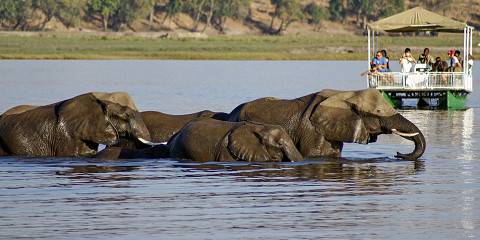 7-Day From River to Wilderness Classic Botswana Safari