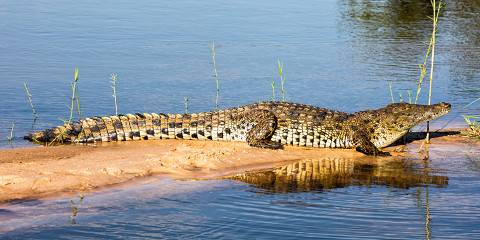 3-Day Chobe Budget Camping from Victoria Falls Town