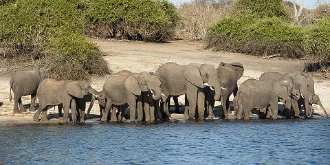 8-Day Victoria Falls & Botswana Adventure Safari