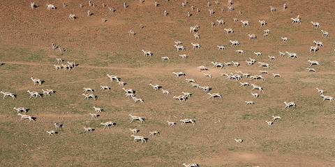 10-Day Southern Escape Namibian Safari