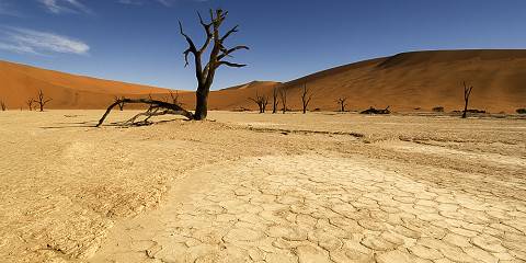 1-Day Scenic Flight and Excursion to Sossusvlei