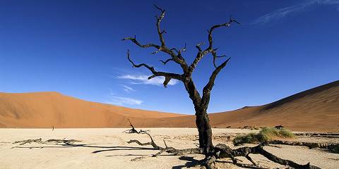 3-Day Sossusvlei Escape Fly-in Safari