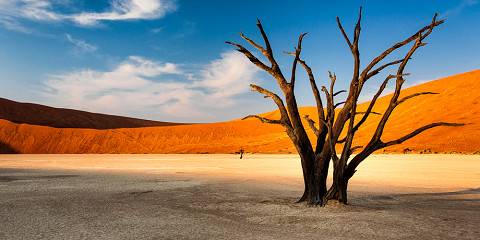 6-Day Ultimate Namibian Fly-in Safari