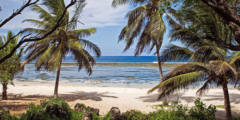 3-Day Diani Beach Excursion