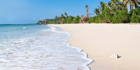 13-Day Luxury Kenya Savannah to Shores Safari with Beach