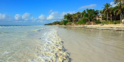 8-Day Bush and Beach Luxury Holiday Package