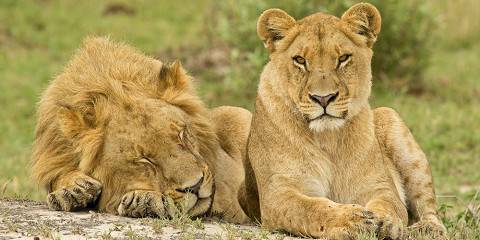 10-Day Best of Okavango Delta, Chobe and Victoria Falls