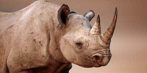 7-Day Namibia Getaway Adventure