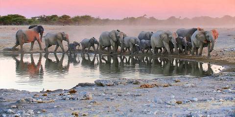 Private Guided Tour Sossusvlei Damaraland Etosha