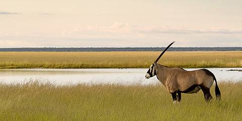 10-Day Top Namibian Destinations Fly-in Safari