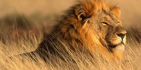 8-Day Classic Namibia Safari