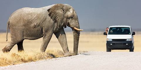 7-Day Classic Namibia Guided Safari Experience