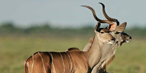 4-Day Sossusvlei & Sandwich Harbour Small Group Depart