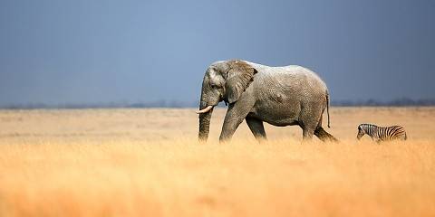 10-Day Classic Namibia