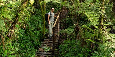 4-Day Rwanda Golden Monkey Trek and Bisoke Hike Trip