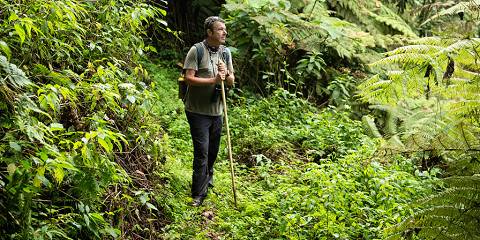 8-Day Rwanda-Uganda Safari