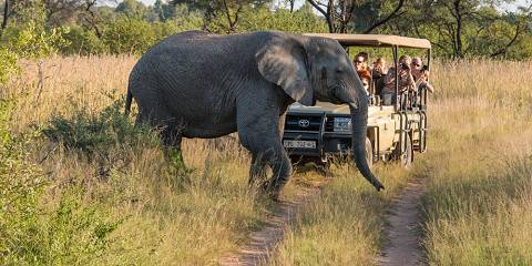 Bush & Beach Safari in Timbavati and Mozambique