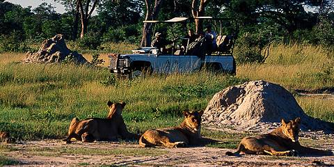 10-Day Zimbabwe Heritage and Wildlife Private Tour