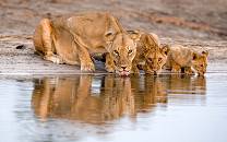 Hwange National Park