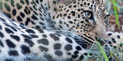 9-Day Luxury Cape Town, Kruger NP and Victoria Falls